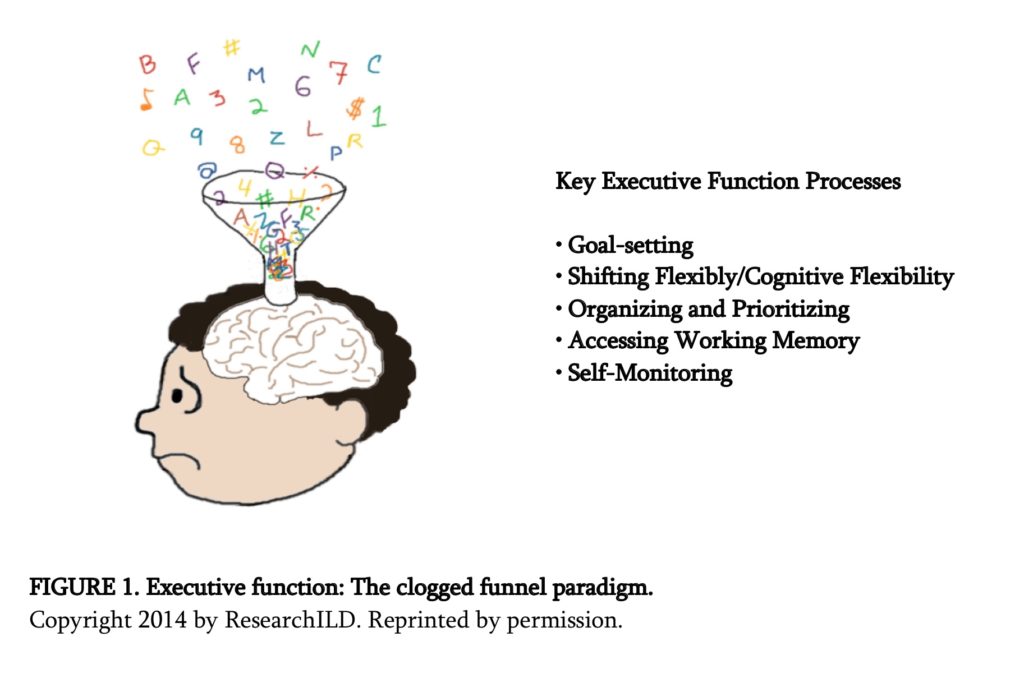 4 Ways Elementary School Classroom Design Impacts Executive Functioning